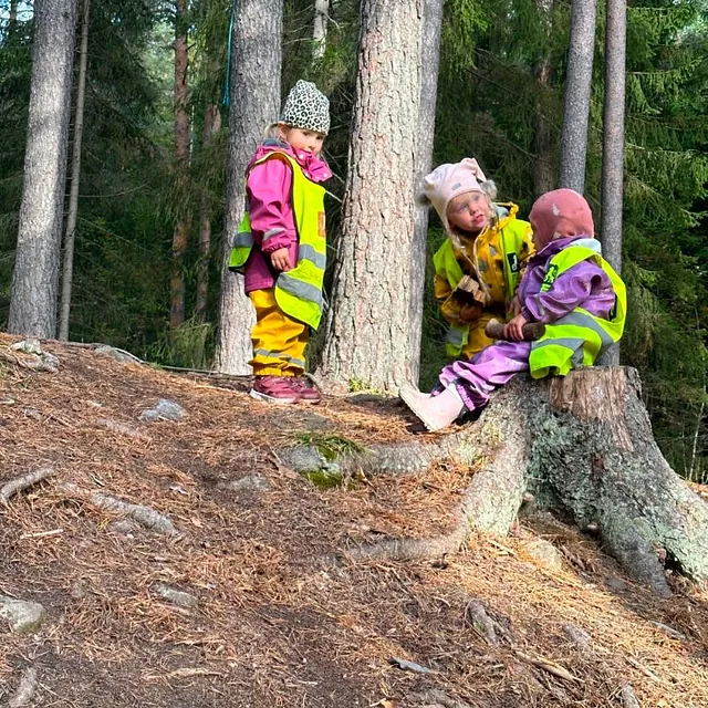 Barn sitter på stubbe ved tre i skog